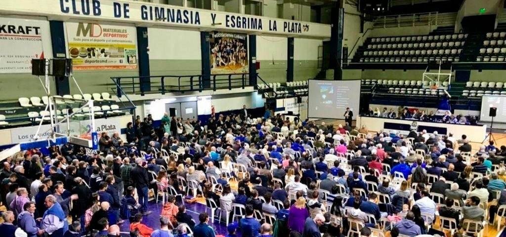 Qué dice el artículo que divide las aguas en Gimnasia