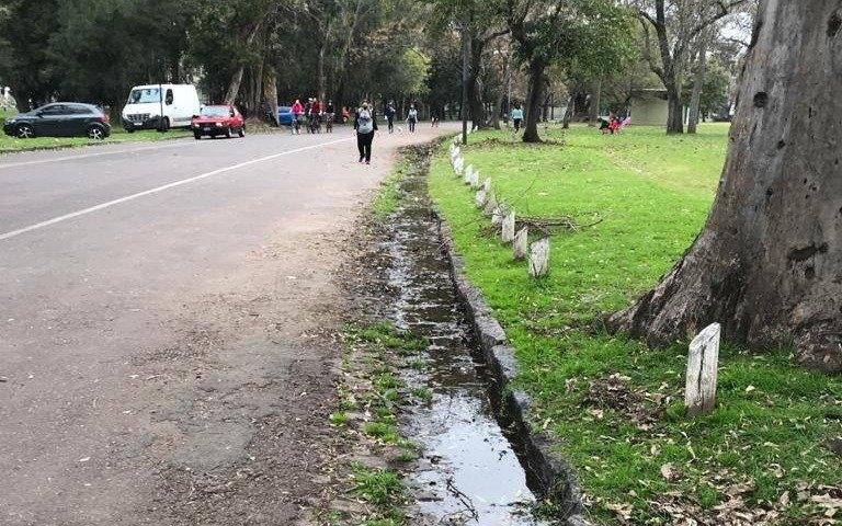 ¡Ojo con los mosquitos que el frío no los detiene! Por qué resisten a las bajas temperaturas