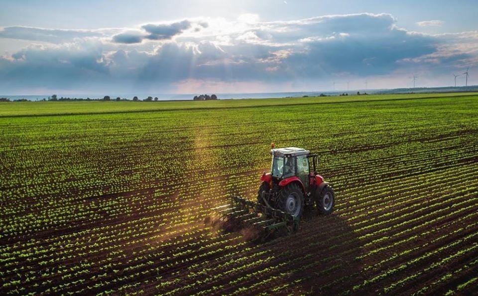El campo sostuvo a la producción bonaerense en un período de caída
