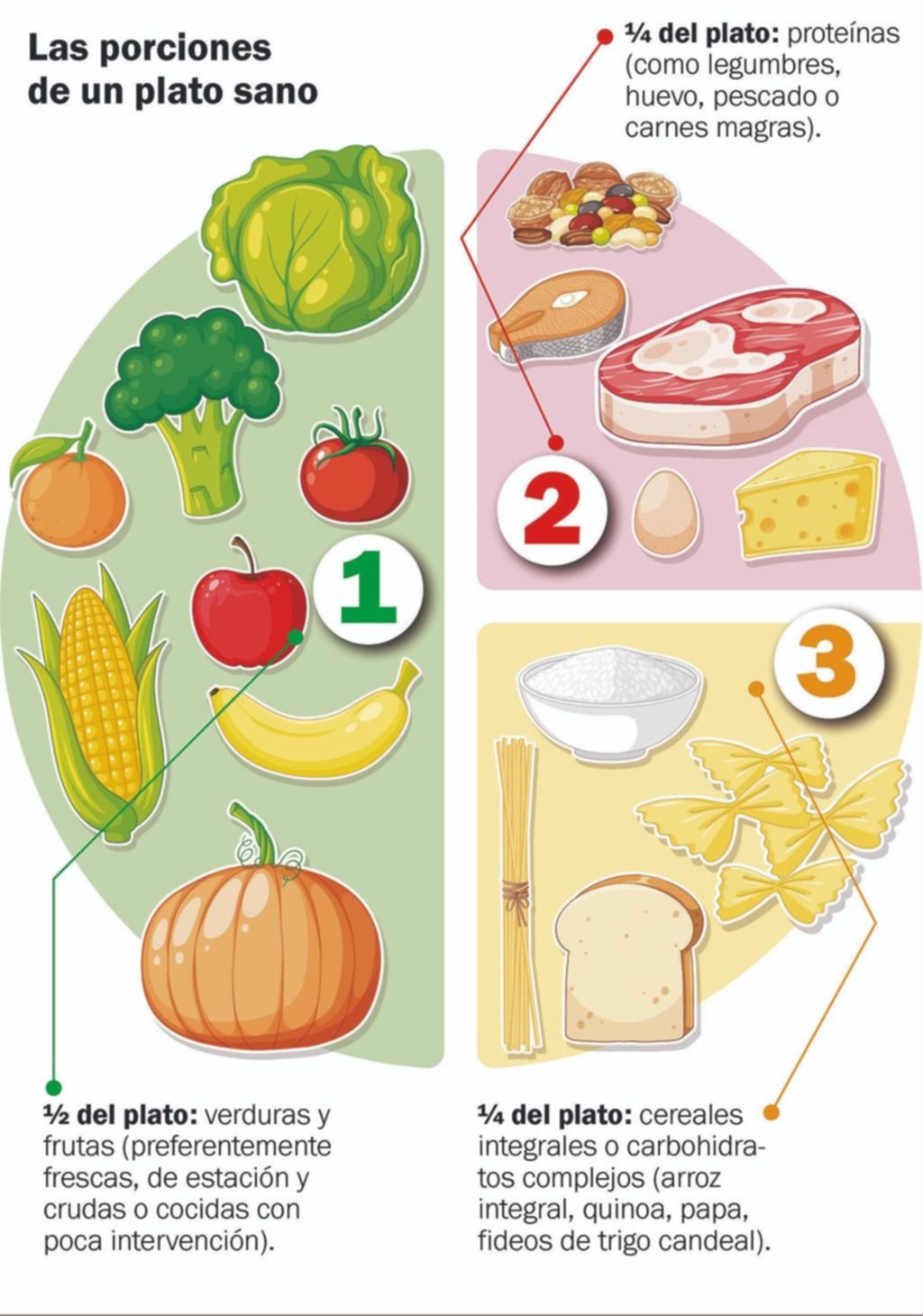Educación alimentaria: aprender a construir un plato saludable