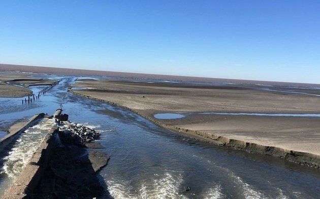 Río de la Plata: alerta por contaminación llegó a la Legislatura bonaerense