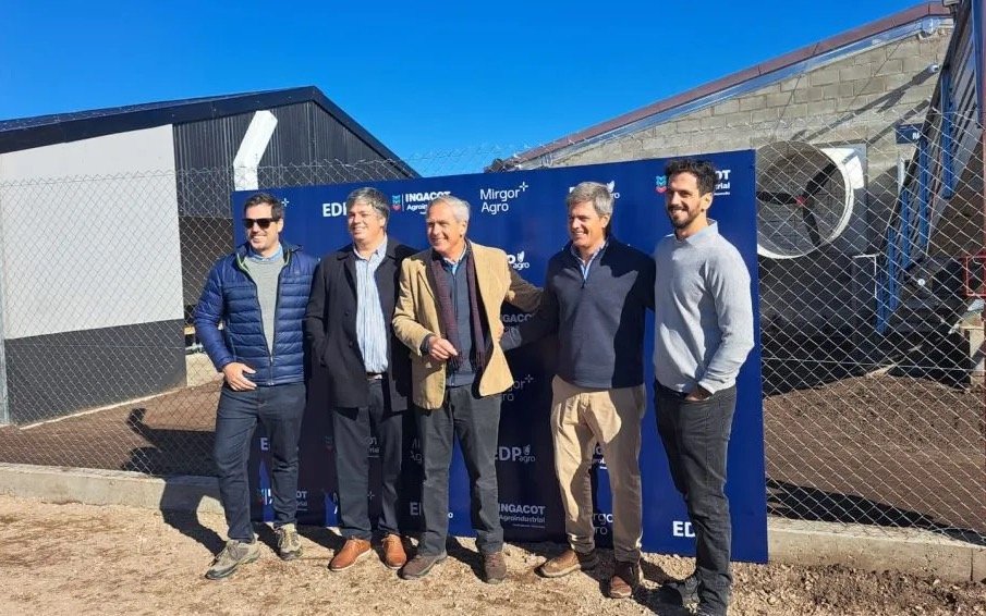 Nueva planta porcina en Bolívar: tecnología, escala y alianza estratégica
