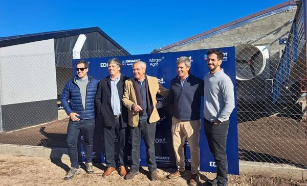 Nueva planta porcina en Bolívar: tecnología, escala y alianza estratégica