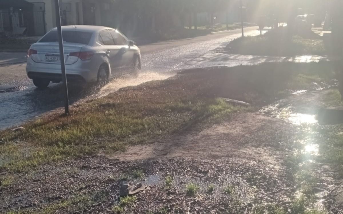 Importante pérdida de agua en Villa Elvira: "Nadie se hace cargo"