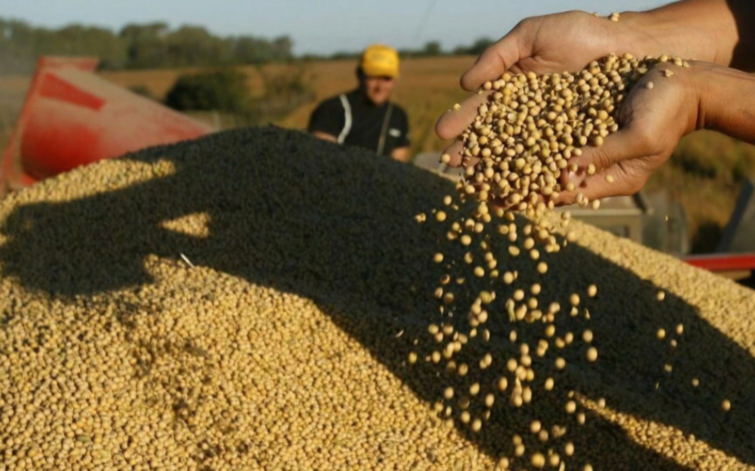 Argentina debate los desafíos del reglamento europeo sobre productos libres de deforestación