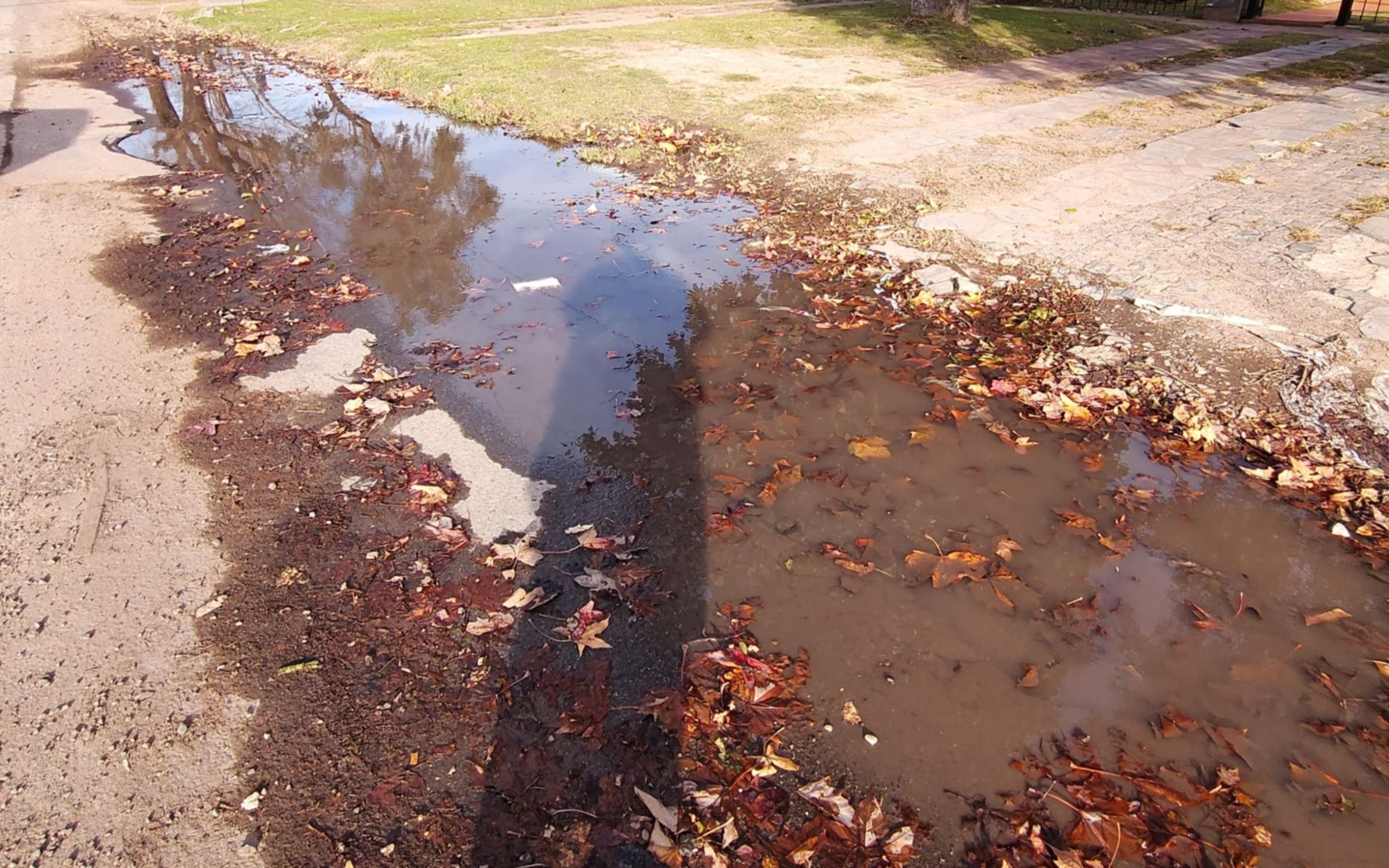 Quejas de los vecinos por una laguna en City Bell