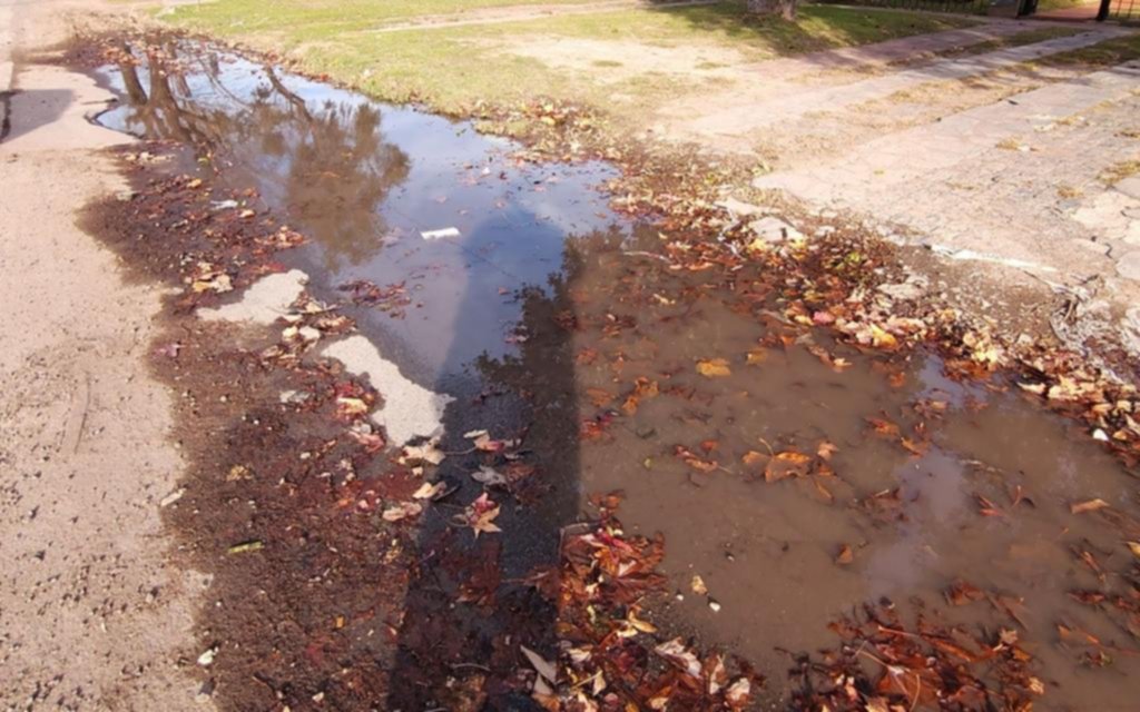 Crece el malestar en City Bell por una “laguna” en plena calle