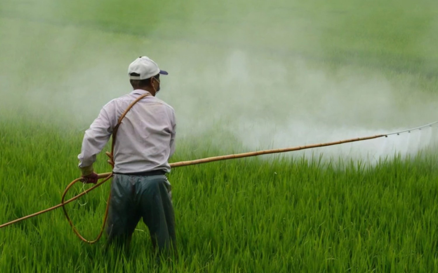 Mar del Plata: orden judicial prohíbe agroquímicos a 1.000 metros de zonas urbanas