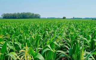 Horacio Salaverri: "La suba en las retenciones afecta a la economía de todo el país, no solamente al sector agropecuario"