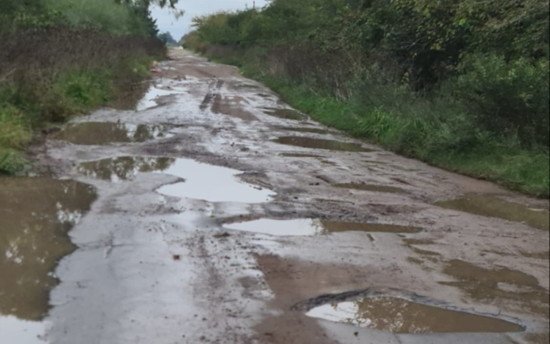 Para hacer rally: así está una zona de Los Hornos