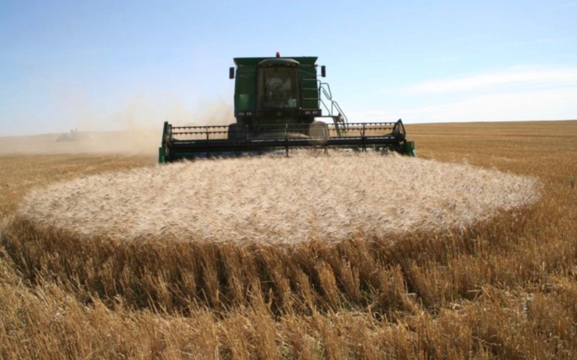 FADA advierte que el Estado se queda con el 78% de lo que genera una hectárea de trigo