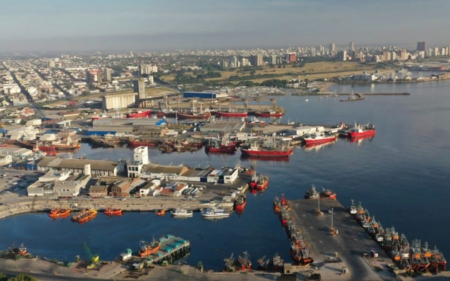 Paro de buques congeladores impacta en Mar del Plata y otras ciudades desde hace 100 días