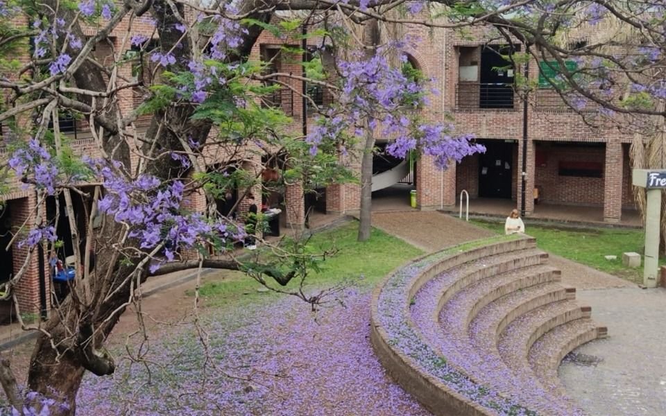 La Fundación Museo de La Plata dio a conocer los ganadores de las becas 2025 para estudiantes de la UNLP