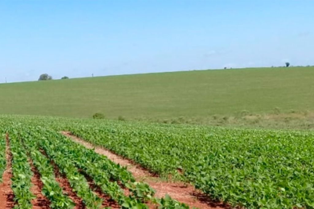 Suben las retenciones a la soja y el maíz y hay bronca en el campo