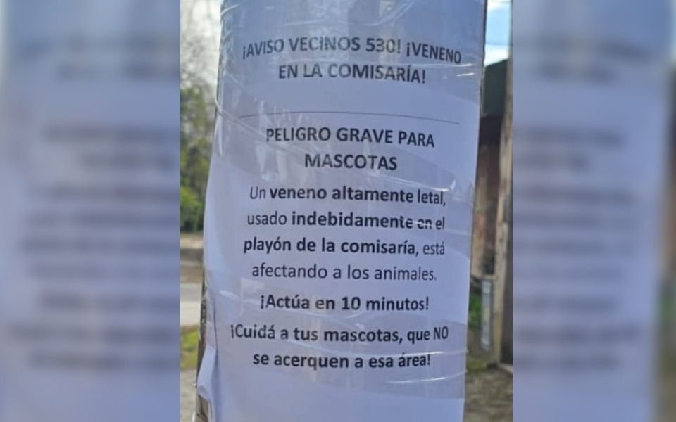 "¡Actúa en 10 minutos!" Alertan por veneno que mató a una mascota en La Plata