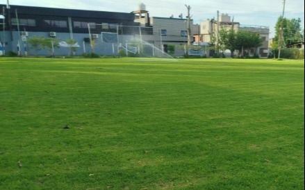 Piñas a un árbitro de fútbol infantil de La Plata: el comunicado del club del DT violento