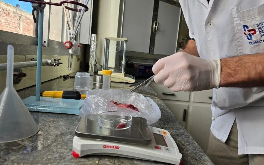 Tandil refuerza medidas contra la triquinosis en época de carneadas