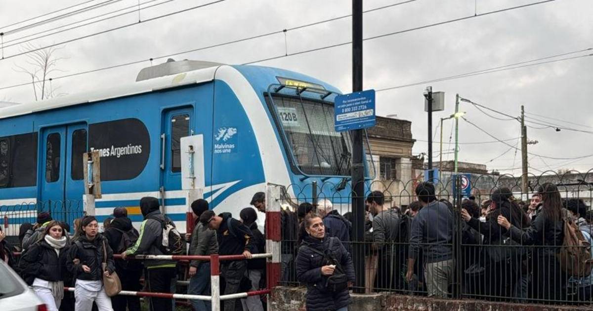 Usuarios del tren Roca afectados por falla técnica | El Dia