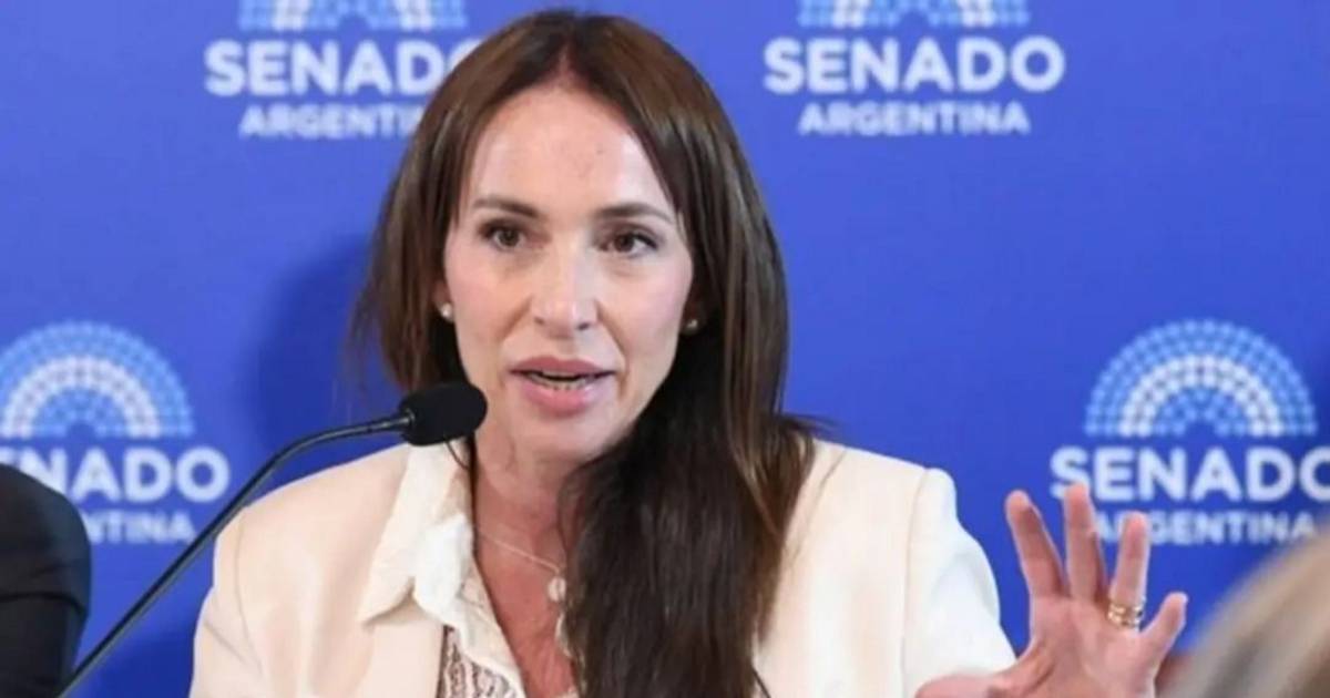 El radicalismo votará a favor de Michelli | El Dia