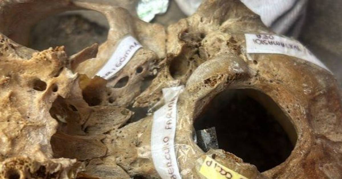 Asombro por la aparición de restos óseos en una vereda céntrica de La Plata | El Dia