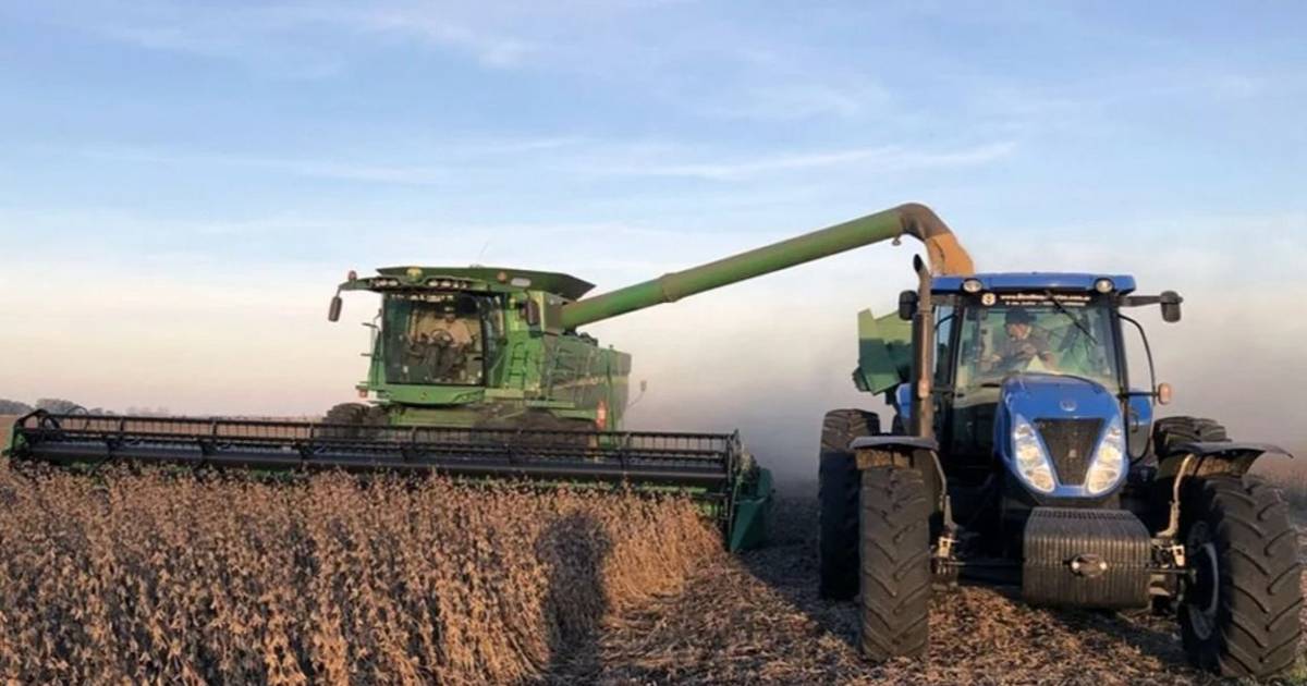 El Gobierno oficializó el esquema de reducción gradual de las retenciones para el agro | El Dia