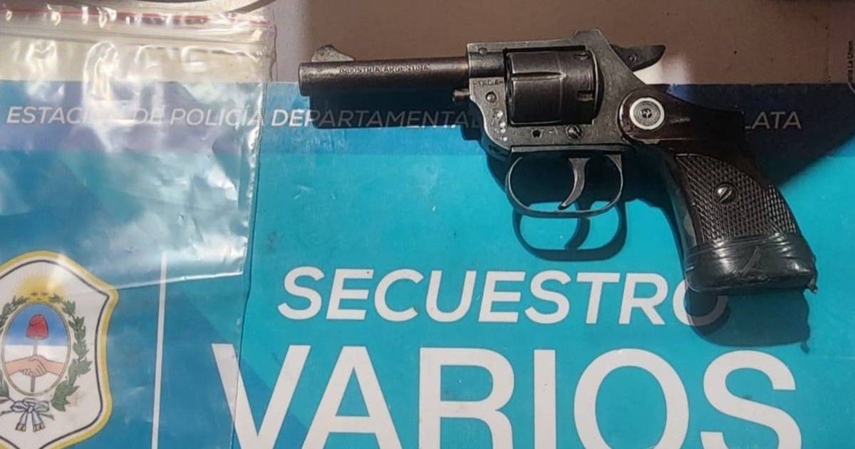Escucharon disparos, llamaron al 911 y terminó detenido un joven armado en La Plata | El Dia