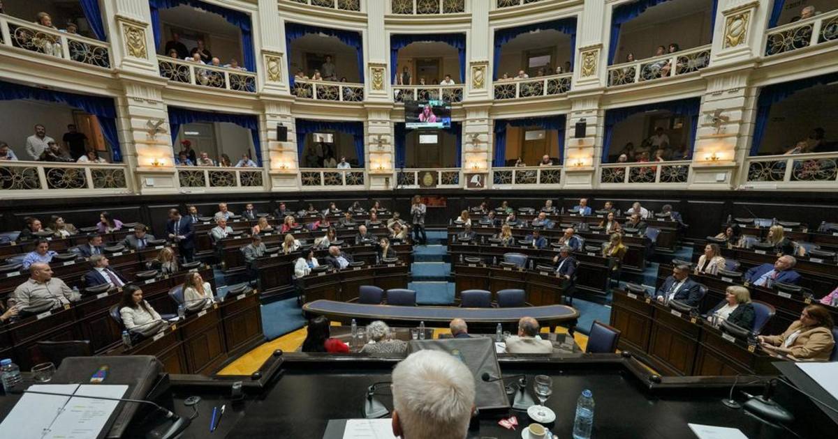 El debate en Diputados por IOMA, entre dudas y especulaciones | El Dia