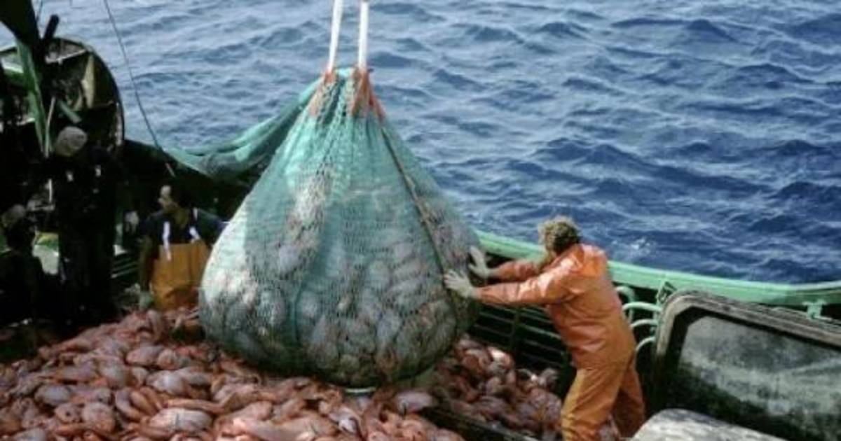 Alertan por el fuerte impacto de la pesca ilegal en aguas argentinas | El Dia