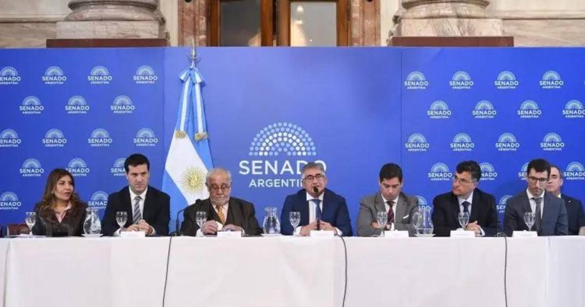 Nuevos pliegos judiciales: candidatos K, del macrismo y funcionarios críticos de Milei | El Dia