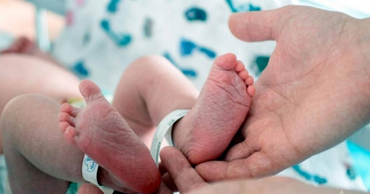 Especialistas en natalidad aseguran que hay más embarazos planificados en la Región | El Dia