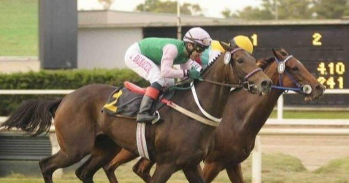 Sin carreras en el Hipódromo de Palermo | El Dia