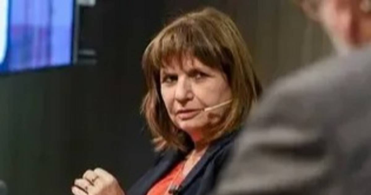 Entre las diferencias y la lealtad: el equilibrio que Patricia Bullrich busca sostener dentro del oficialismo | El Dia