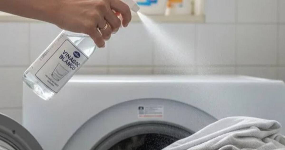 Cómo usar vinagre blanco para lavar la ropa: trucos y beneficios | El Dia