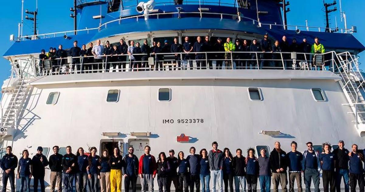 Exploración oceánica: el mar vuelve al streaming | El Dia
