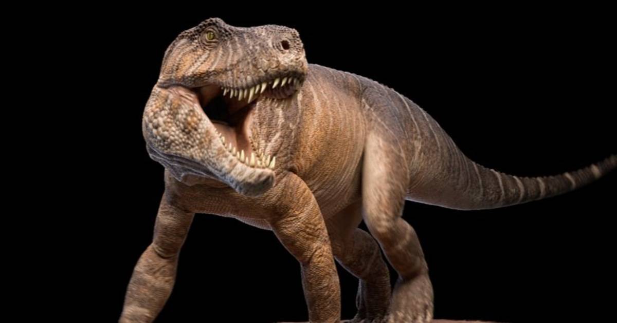Científicos platenses participaron del descubrimiento de un gigantesco cocodrilo que vivió hace 237 millones de años | El Dia