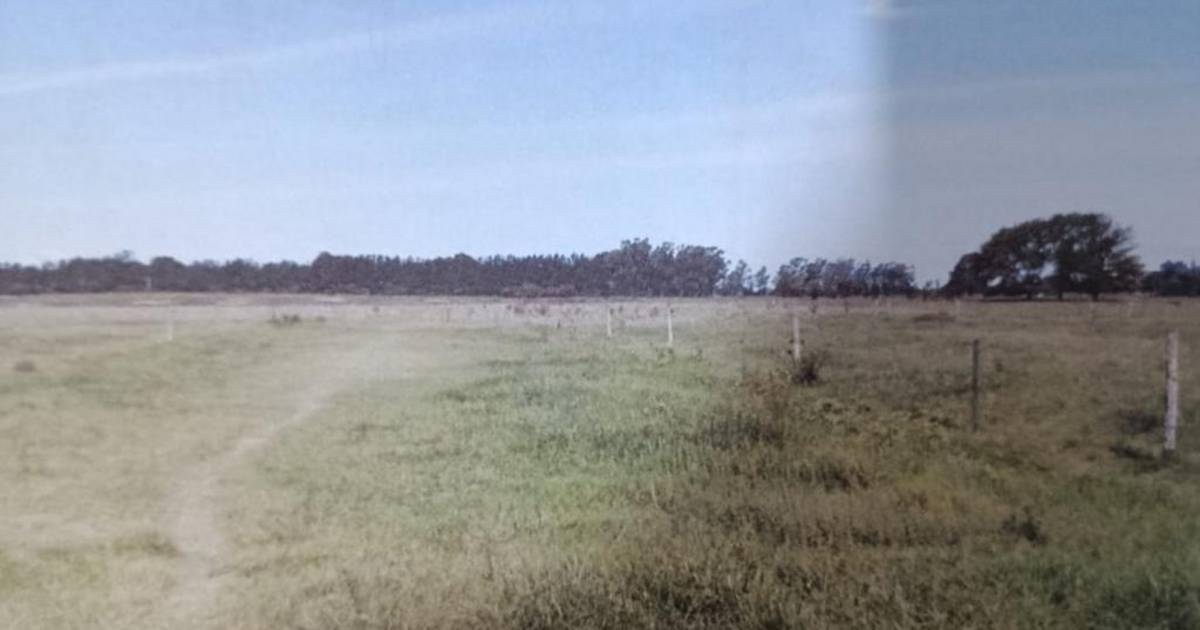 Denuncias cruzadas por usurpación en torno a un enorme terreno en Correas | El Dia