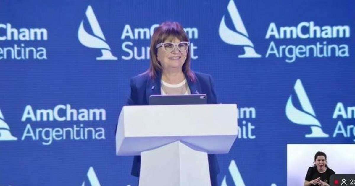 Bullrich emerge como referencia oficialista para la construcción territorial en Buenos Aires | El Dia