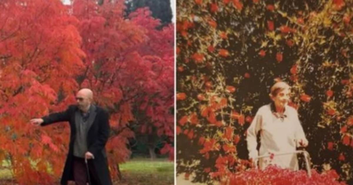 La última foto del Indio Solari y una coincidencia que despertó ternura en las redes