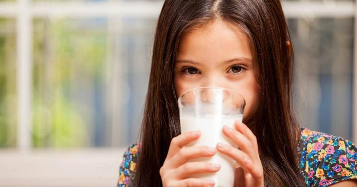 Lácteos enteros: ahora resulta que su contenido graso no es malo para la salud | El Dia