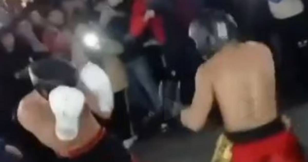 Multitudinaria pelea callejera en La Plata: el frondoso prontuario del rival del influencer Gero Arias | El Dia