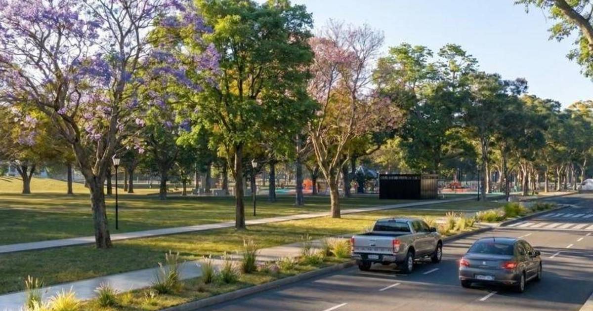 El Municipio confirma el achique de calles en Parque Saavedra | El Dia
