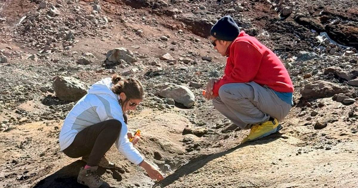 Con aporte desde La Plata, científicos del mundo buscan en ambientes extremos pistas sobre el origen de la vida | El Dia
