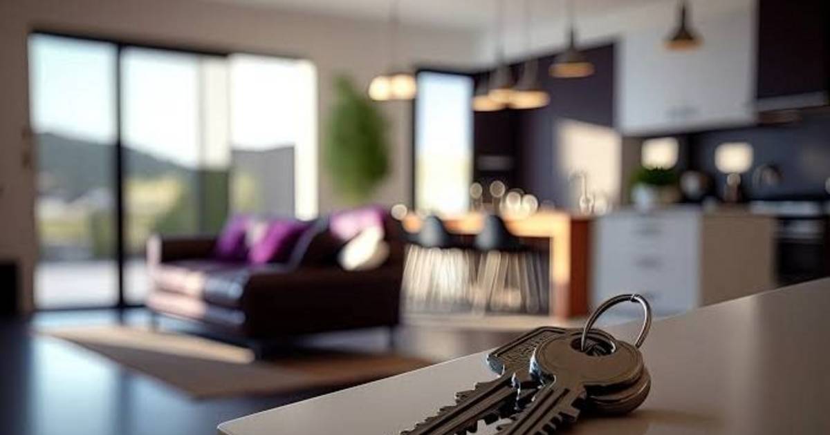 Una nueva forma de alquilar: Garantix ofrece respaldo para propietarios y facilidad para inquilinos | El Dia