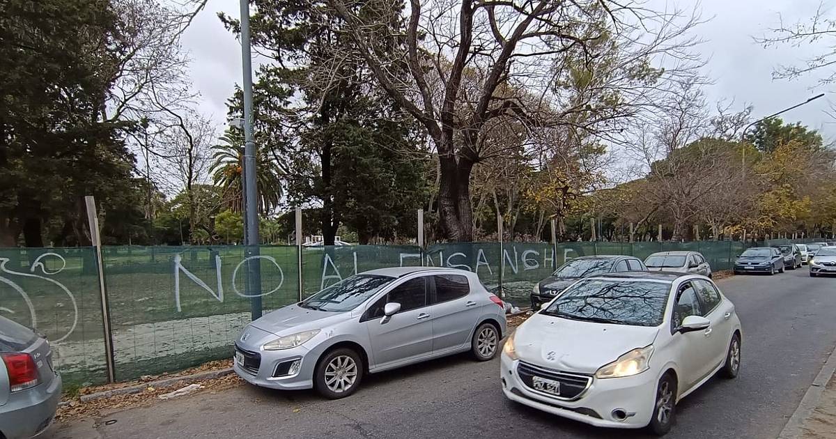 Vecinos del Parque Saavedra se movilizan contra las obras y la eliminación de las ramblas | El Dia
