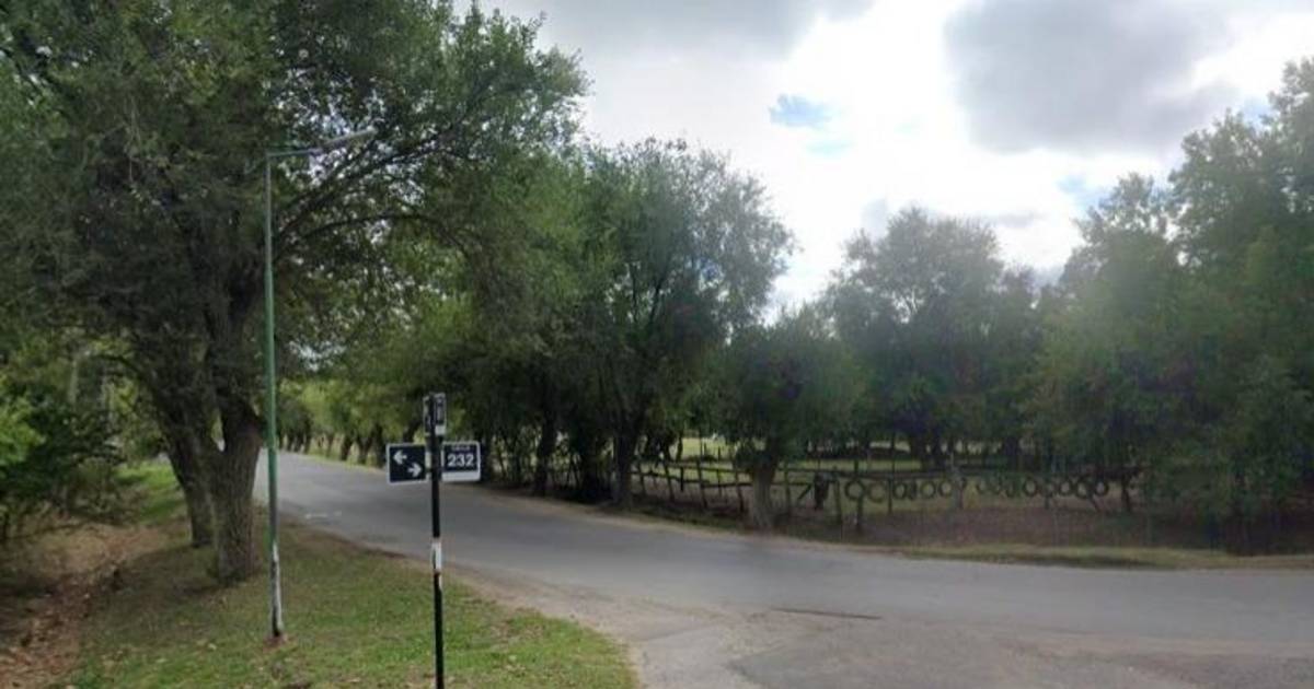 Madre e hija frente al horror: una banda dio el golpe en Etcheverry | El Dia