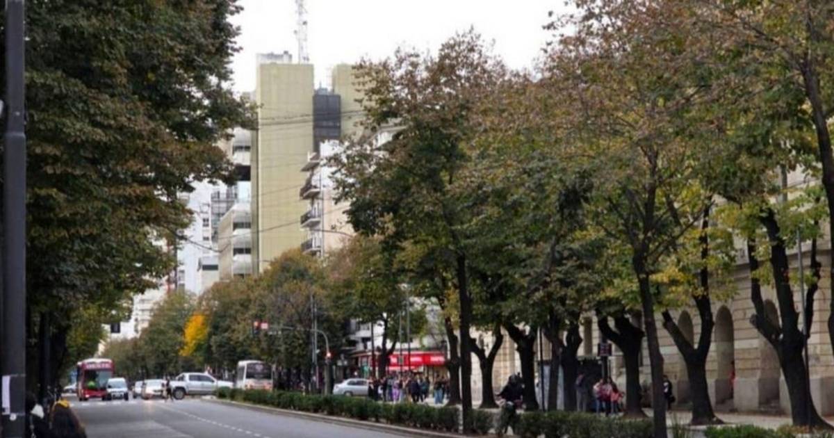 This is how La Plata works this national holiday: transport, garbage, parking and more) 124; El Dia