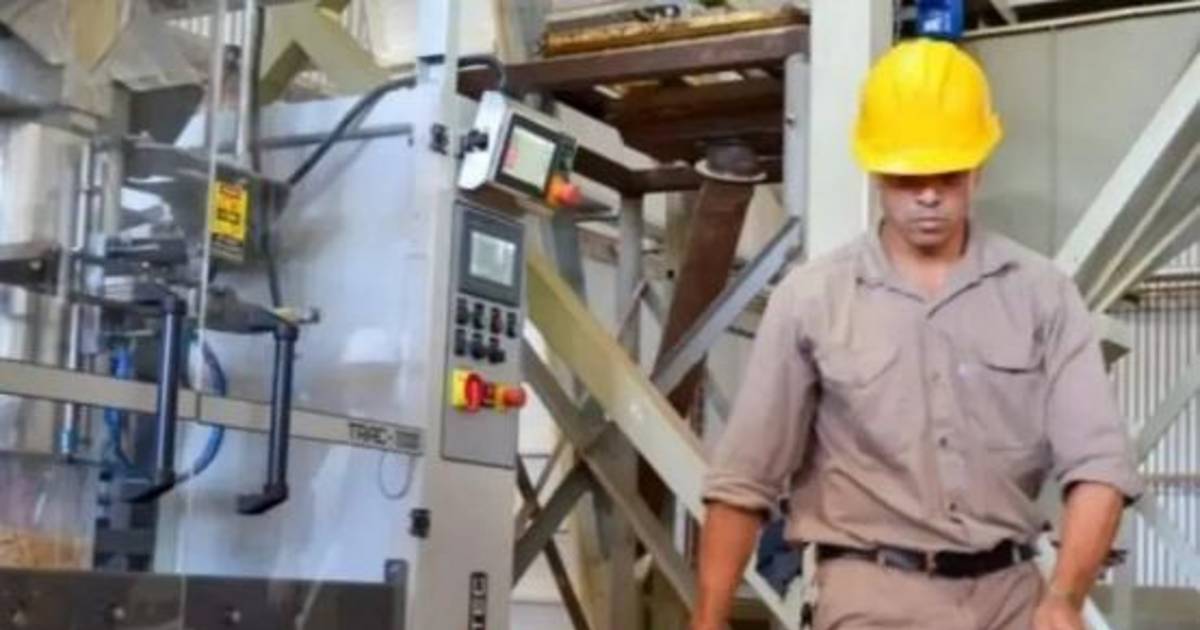 La Provincia perdió más de 33 mil empleos | El Dia