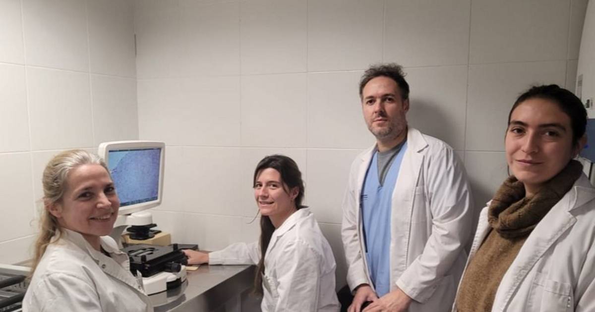 Investigadores platenses lograron cicatrizar una herida compleja con tejido derivado de la placenta y evitar una cirugía | El Dia