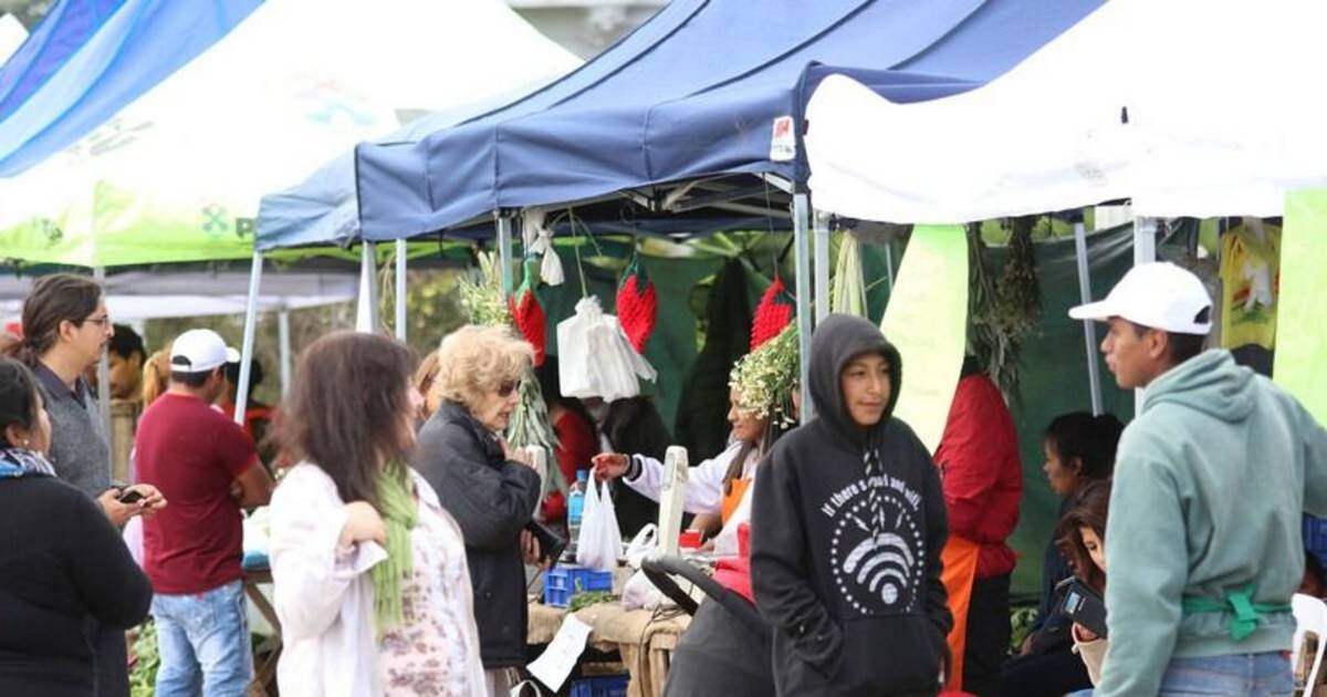 Productores frutihortícolas del Gran La Plata regalarán verduras frente a la Legislatura | El Dia