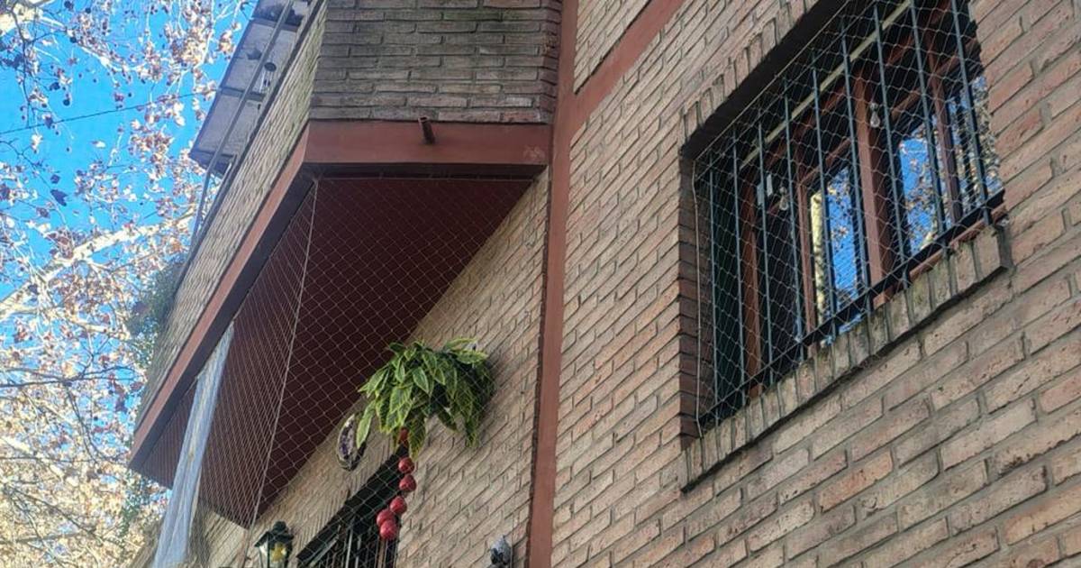 Redes anti aguiluchos: suben las consultas para proteger balcones | El Dia